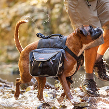 Outdoor Dog Gear 