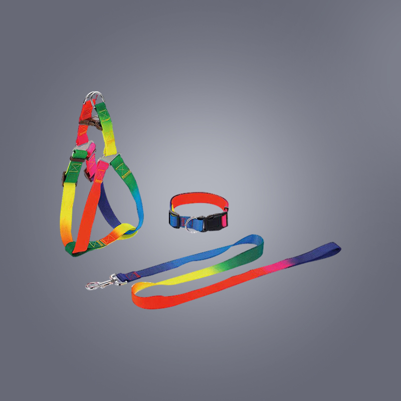 SLL102 Rainbow Nylon Pet Harness Collar and Leash Set